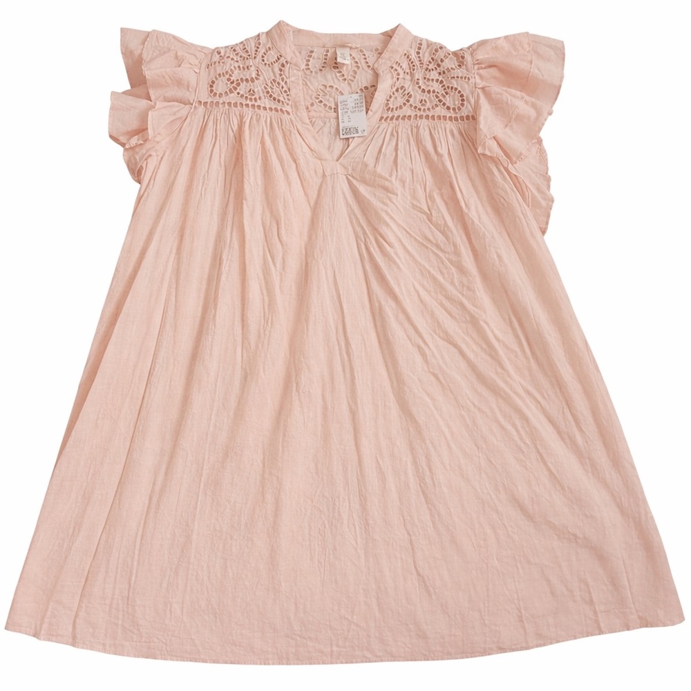 H&M Light Pink Ruffle Sleeve Dress